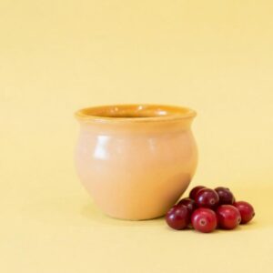 Caramel Matka Ice cream cup | Byora Homes | Beige | Stoneware Ceramic