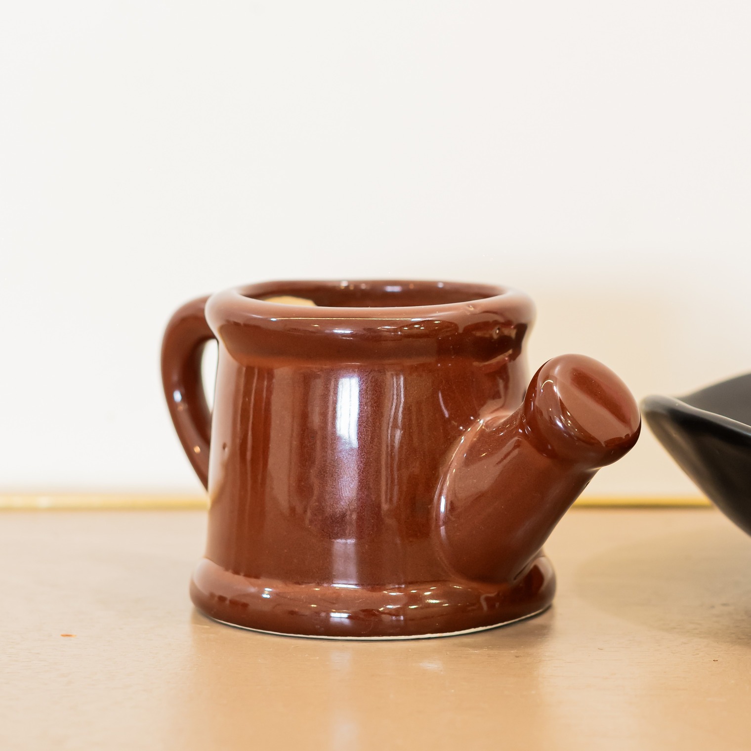 Watering Can Planter | Byora Homes | Ceramic | Brown - Image 3