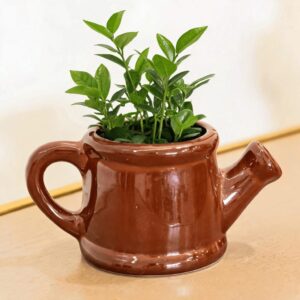 Watering Can Planter | Byora Homes | Ceramic | Brown