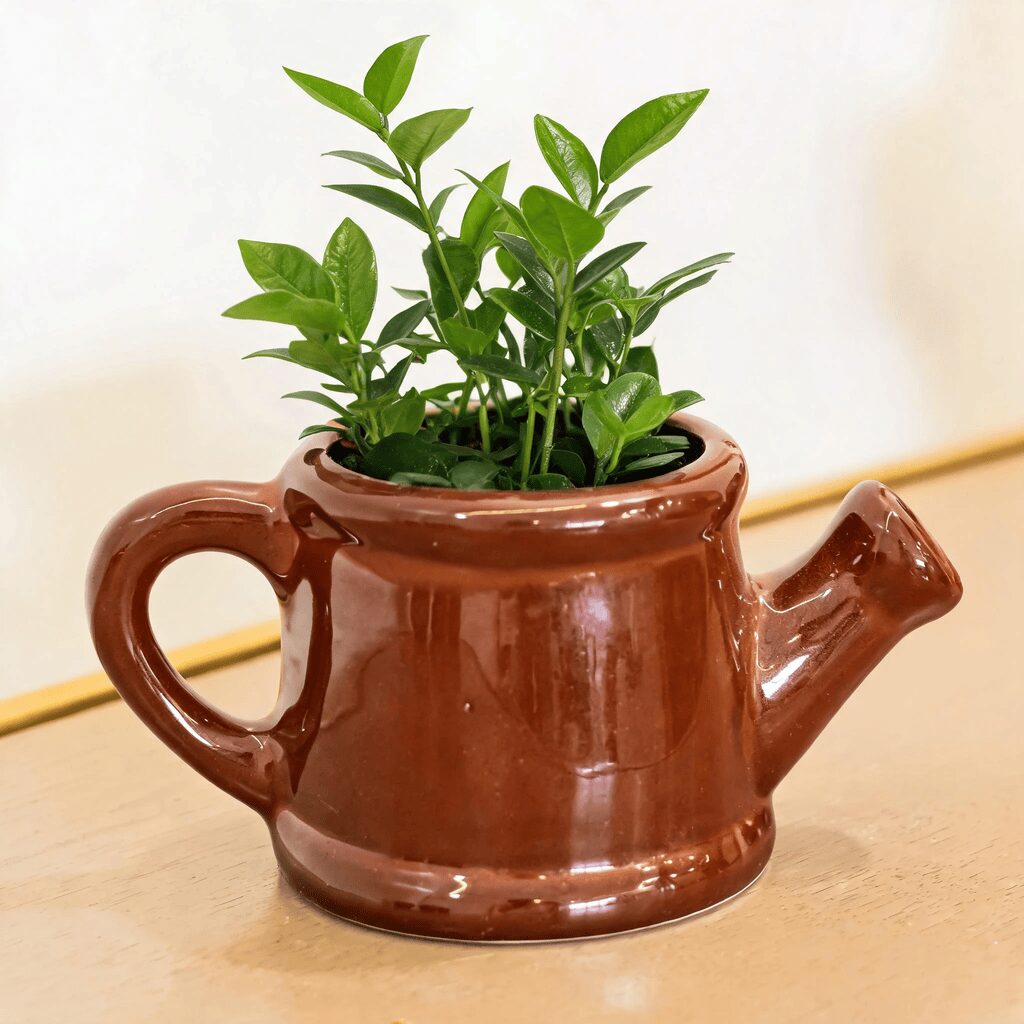 Watering Can Planter | Byora Homes | Ceramic | Brown