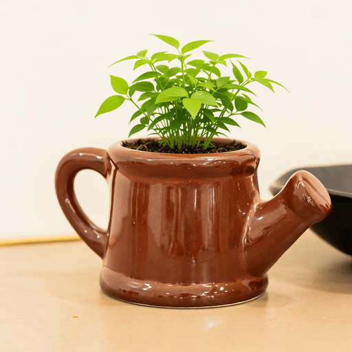 Watering Can Planter | Byora Homes | Ceramic | Brown - Image 4