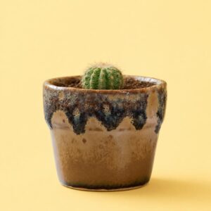 Buddy Ceramic Planter | Byora Homes | Ceramic | Brown