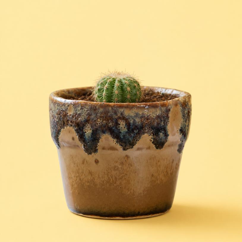 Buddy Ceramic Planter | Byora Homes | Ceramic | Brown