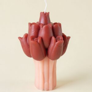Tulip Flowers Soy Candle | Byora Homes | Pink & Red | Soy Wax