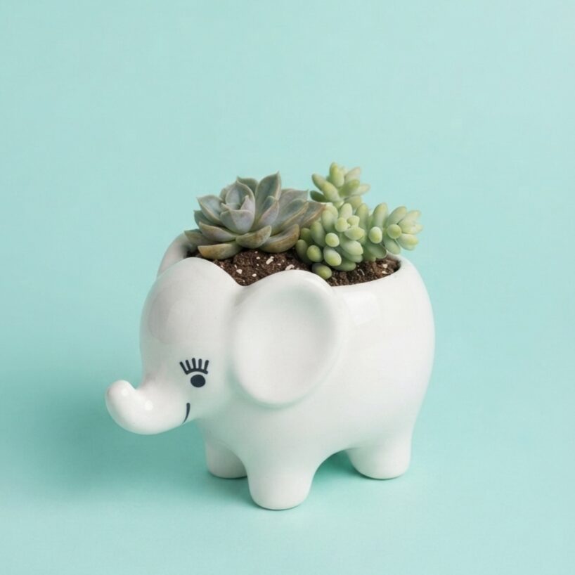 Elli Ceramic Planter | Byora Homes | Ceramic | Multicolor